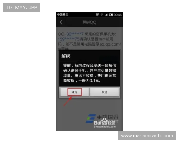 尊龙会官网会员登录入口网址安全登录技巧与账号保护建议