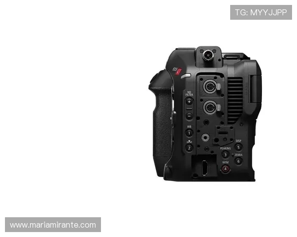 尊龙z6线上手机版多平台兼容性分析，随时随地畅玩无障碍