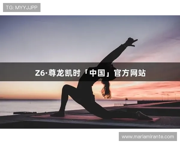 尊龙凯时官方平台多平台兼容支持多设备畅玩无障碍的操作体验