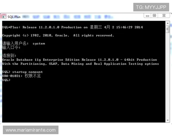 尊龙登录入口首页最新官方入口地址及安全登录指南推荐