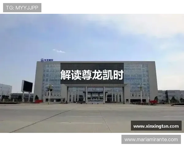 尊龙凯时网娱乐app最新版本下载安装指南与安全保障措施详解